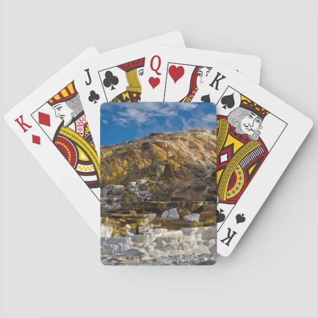 Mammoth Hot Spring Playing Cards (Back)