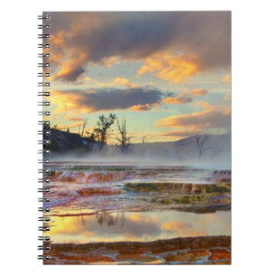 Mammoth Hot Springs Notebook