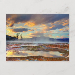 Mammoth Hot Springs Postcard