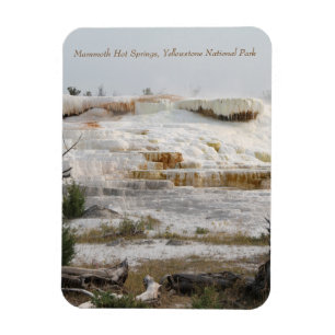Mammoth Hot Springs, Yellowstone National Park Magnet