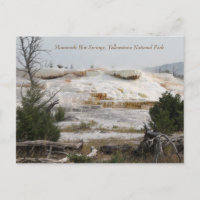 Mammoth Hot Springs, Yellowstone National Park