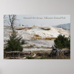 Mammoth Hot Springs, Yellowstone National Park Poster