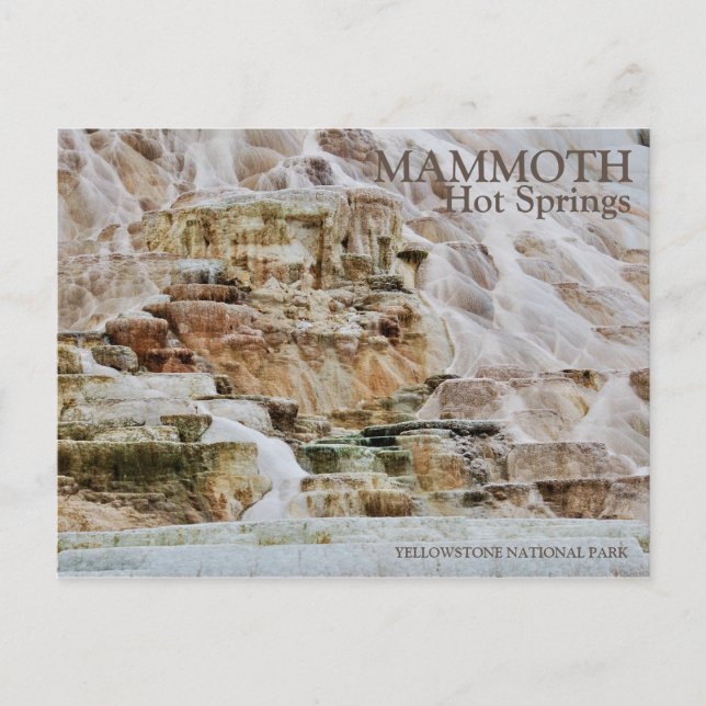 MAMMOTH HOT SPRINGS, YELLOWSTONE NATIONAL PARK, WY POSTCARD (Front)