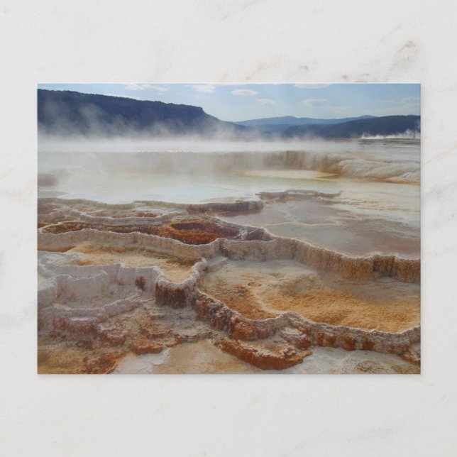 Mammoth Hot Springs Yellowstone Postcard (Front)