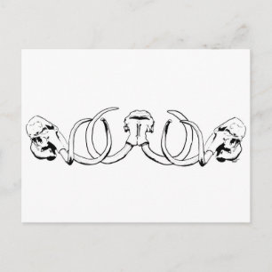 Mammoth Skull Postcard