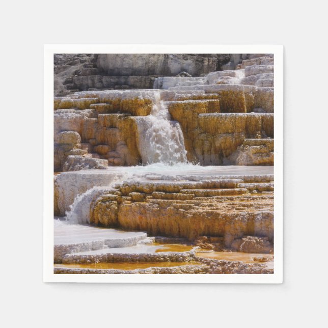 Mammoth Springs Falls Napkin (Front)