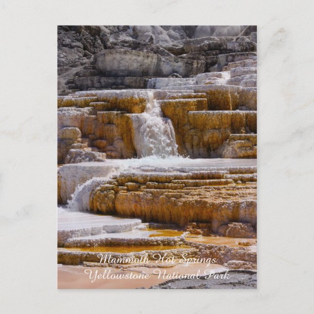 Mammoth Springs Falls Postcard (Front)
