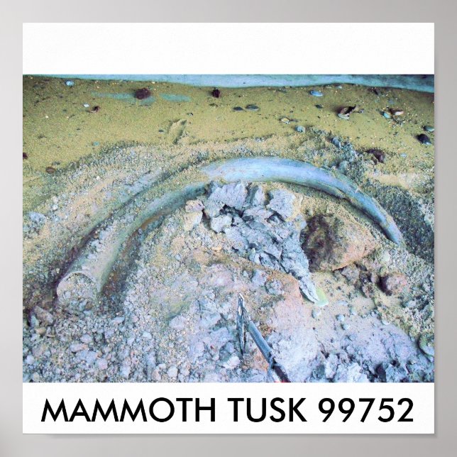 mammoth tusk (2), MAMMOTH TUSK 99752 Poster (Front)