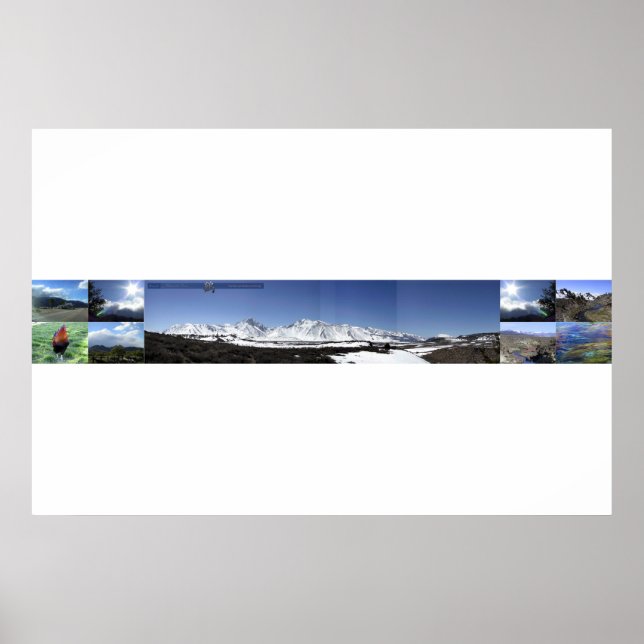 mammoth views poster (Front)