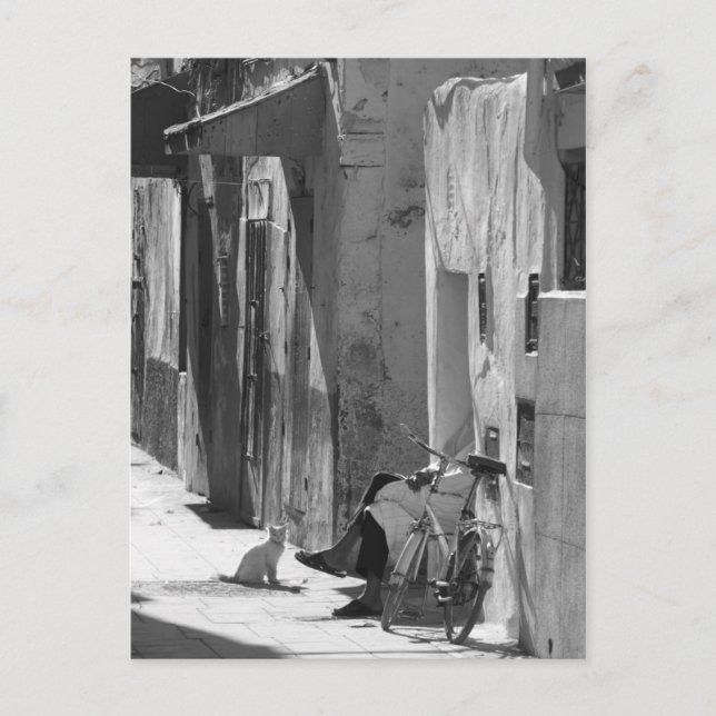 Man and Cat Postcard (Front)