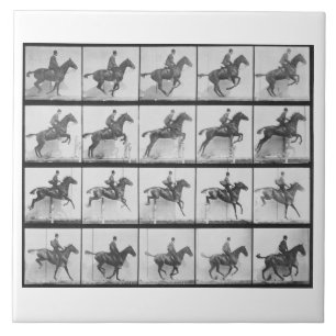 Man and horse jumping a fence, plate 640 from 'Ani Tile