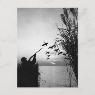 Man Duck Hunting Postcard