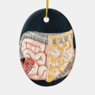 Man holding model of human intestines or bowels ceramic ornament