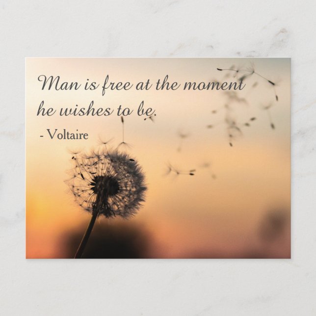 Man is Free Voltaire Quote Postcard (Front)