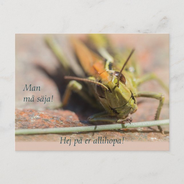 Man må säja! Gräshoppa med personlighet CC0775 Postcard (Front)