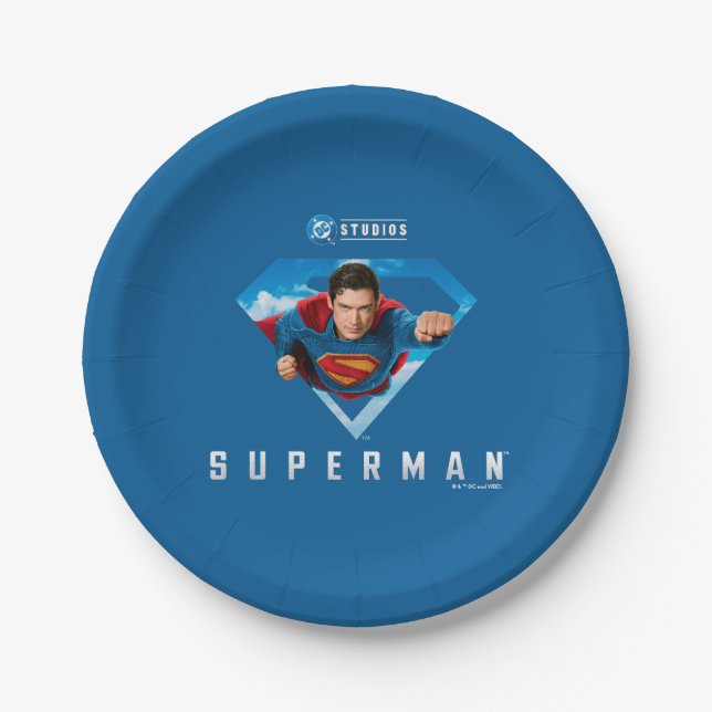 Man of Steel in Flight Paper Plate (Front)
