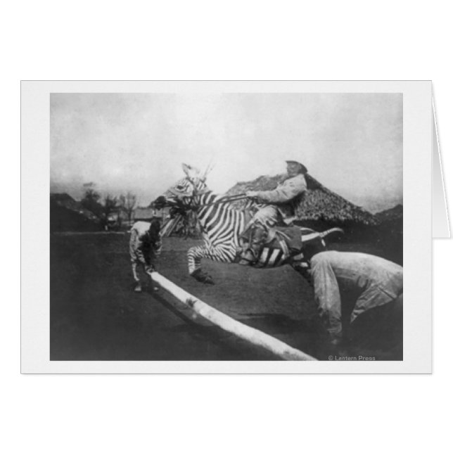 Man Riding Zebra Jumping Fence Photograph (Front Horizontal)
