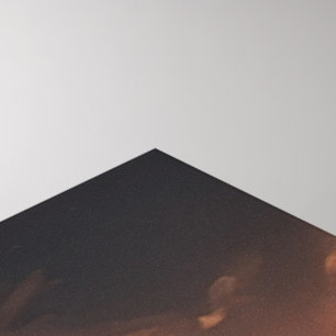 MAN V BEAST CANVAS PRINT