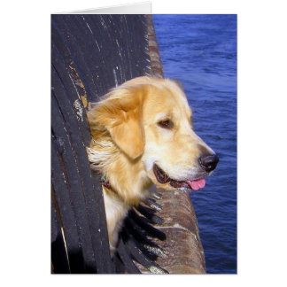 MAN..... WISH I KNEW HOW TO SWIM!