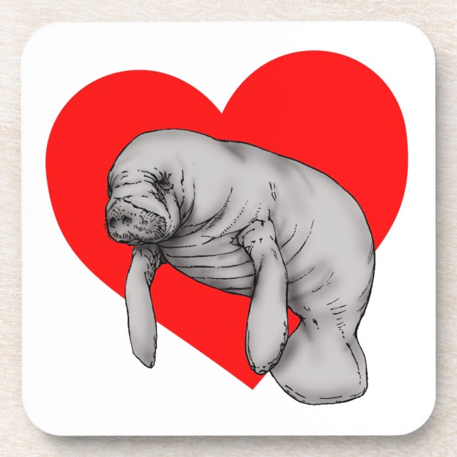 manatee art coaster (Front)