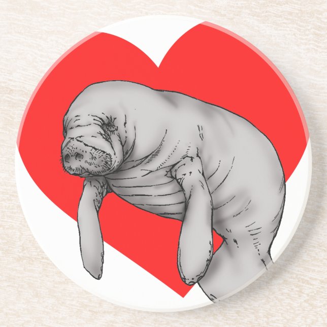 manatee art coaster (Front)