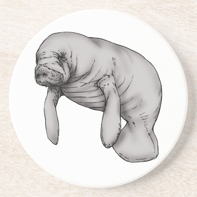 manatee art coaster (Front)