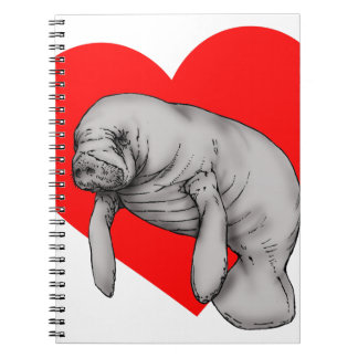 manatee art notebook