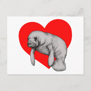 manatee art postcard