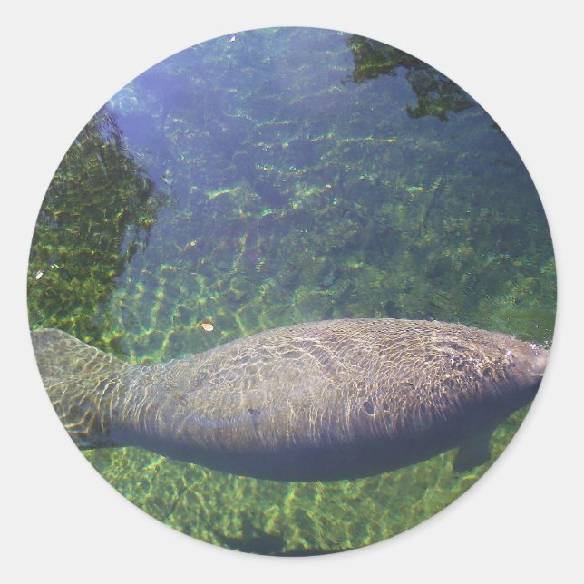 Manatee Classic Round Sticker (Front)