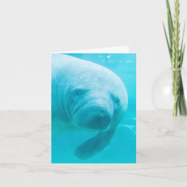 Manatee Digital Art "oh hi"  Card (Front)