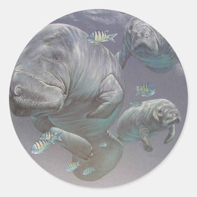 Manatee Family Classic Round Sticker (Front)
