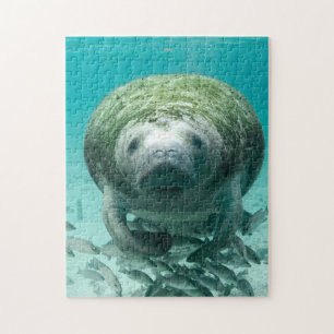 Manatee Florida. Jigsaw Puzzle