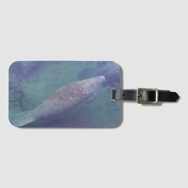 Manatee Florida Swimming Photo Cute Luggage Tag (Front Horizontal)