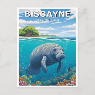 Manatee in Biscayne National Park Postcard