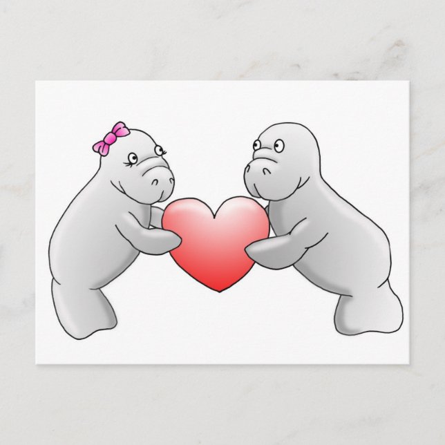 Manatee love postcard (Front)