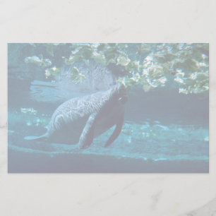 Manatee, Lowry Park Zoo, Tampa Bay, Florida, U.S.A Stationery