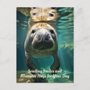 Manatee Marvel: Customizable Manatee Holiday Postcard