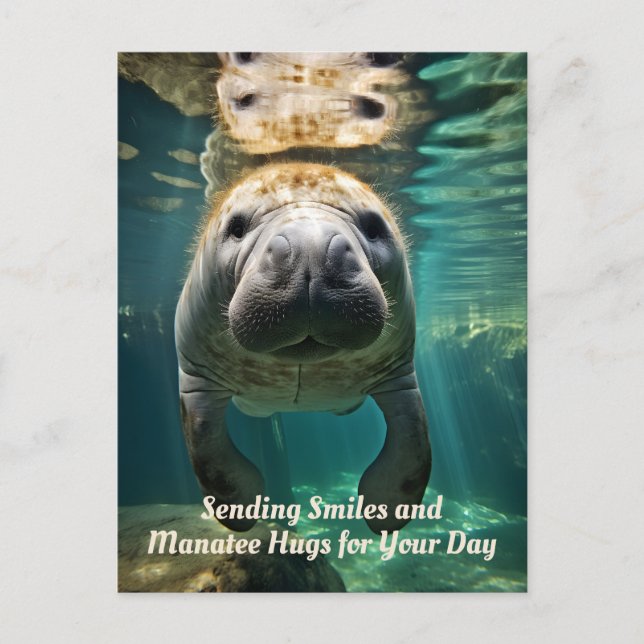Manatee Marvel: Customizable Manatee Holiday Postcard (Front)