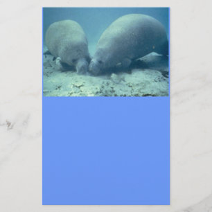 Manatee Moments Papeterie