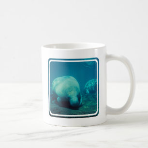 Manatee Photo  Coffee Mug