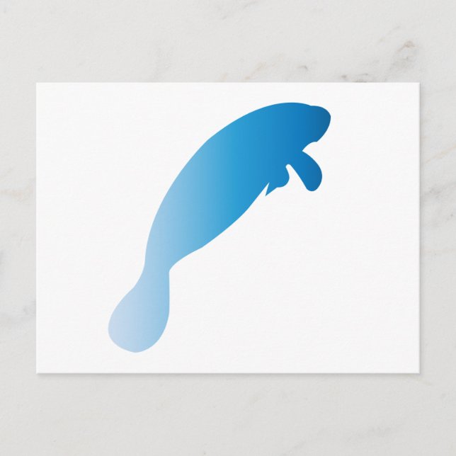 Manatee Postcard (Front)