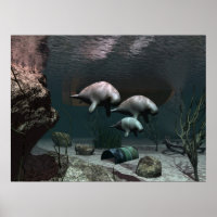 Manatee poster