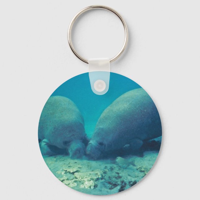 Manatee Rooting in Sand Keychain (Front)