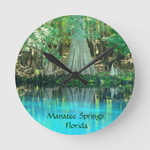 Manatee Springs Fl Wall Clock