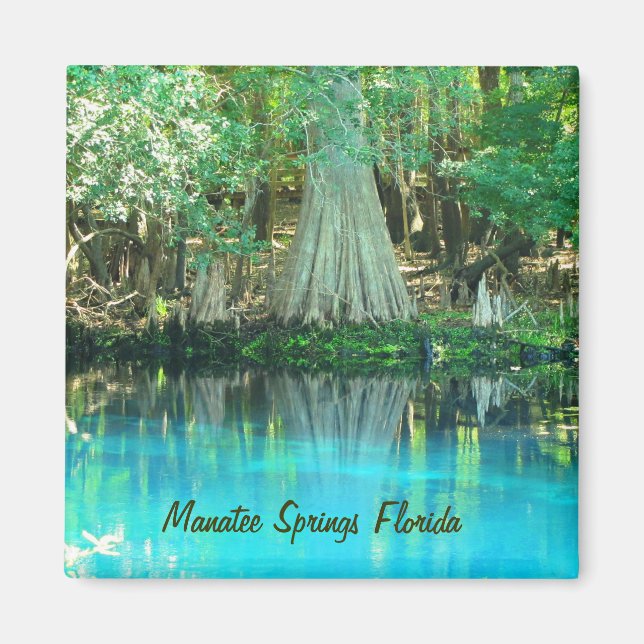 Manatee Springs Magnet (Devant)