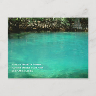 Manatee Springs Postcard