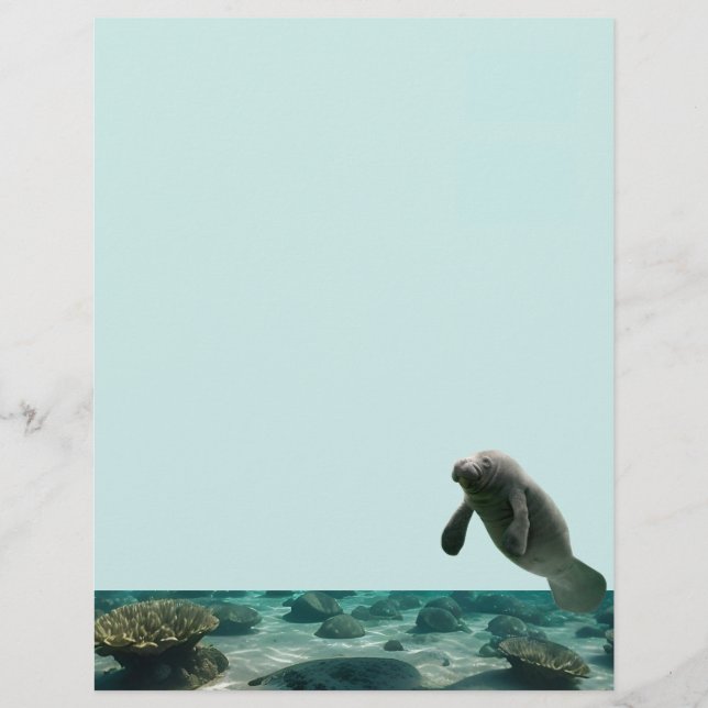 Manatee Stationary (Front)