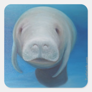 Manatee Stickers