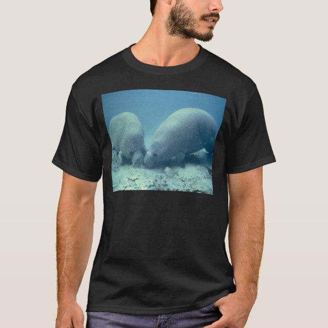 Manatee T-Shirt (Front)