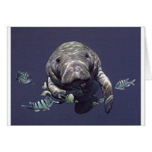 Manatee Underwater World